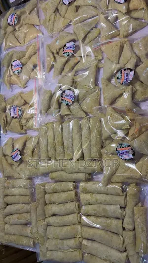 Spring Rolls and Samosa