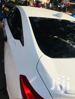 Tinted Glass Installation