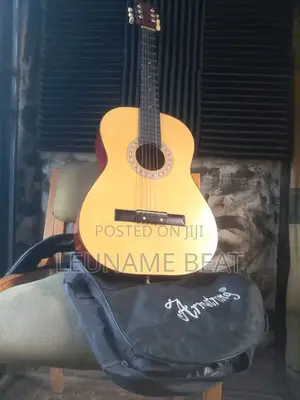 Professional 4x4 38 Inches Acoustic Guitar With Bag and Extra Strings
