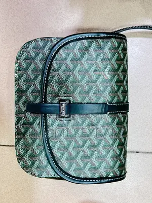 Goyard Red Exotic Bag