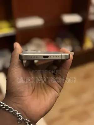 Apple iPhone 15 Pro Max 256 GB Silver