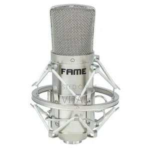 Fame Cm1 Studio Microphone
