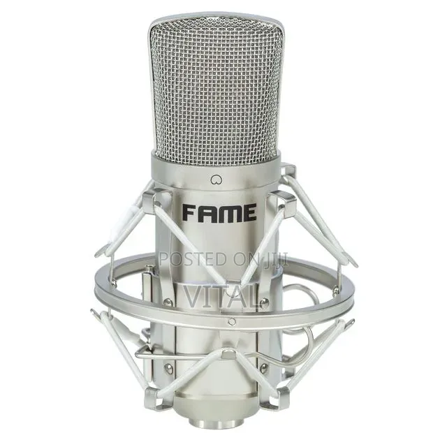 Fame Cm1 Studio Microphone