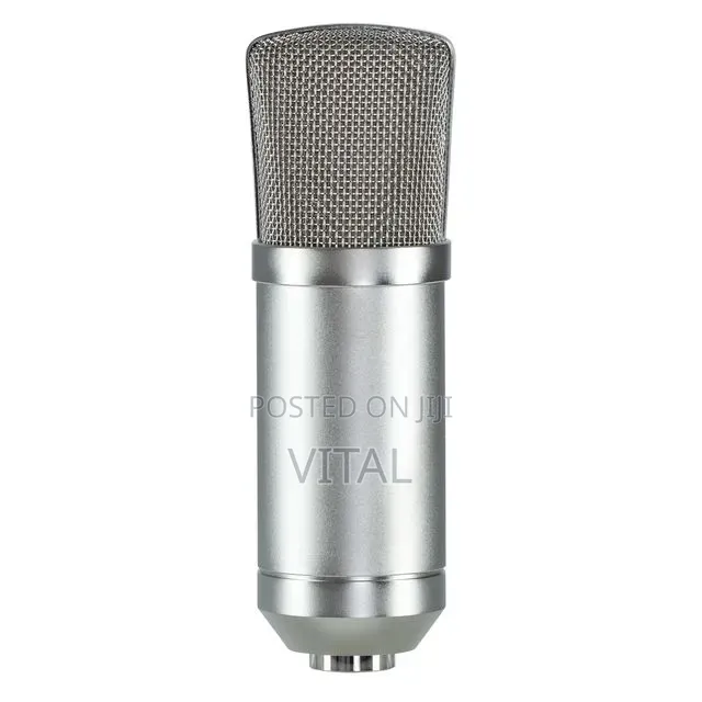 Fame Cm1 Studio Microphone