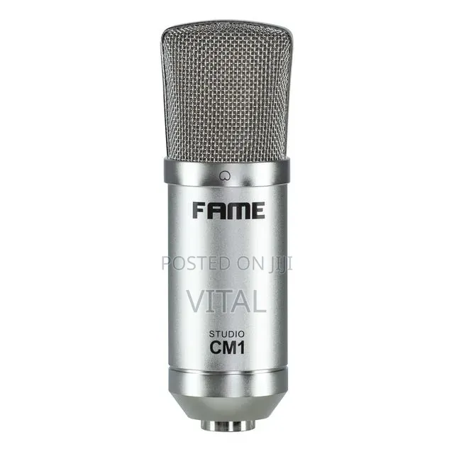 Fame Cm1 Studio Microphone