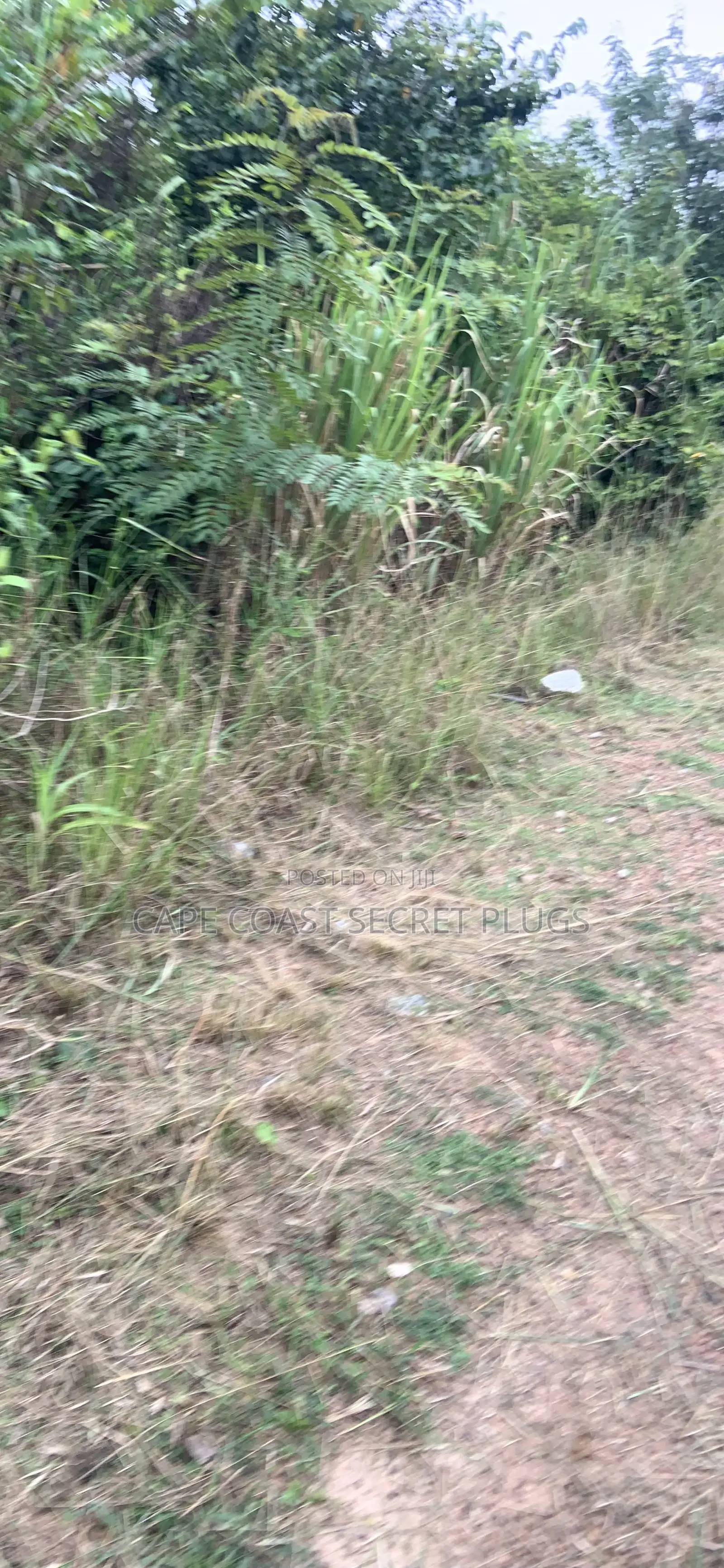 2 Plot of Land