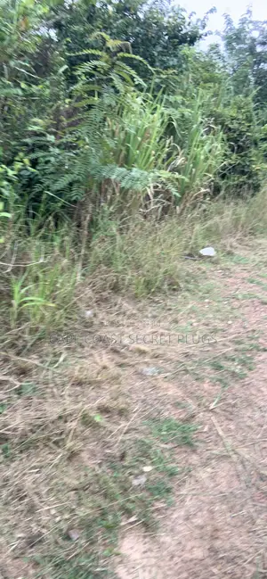 2 Plot of Land
