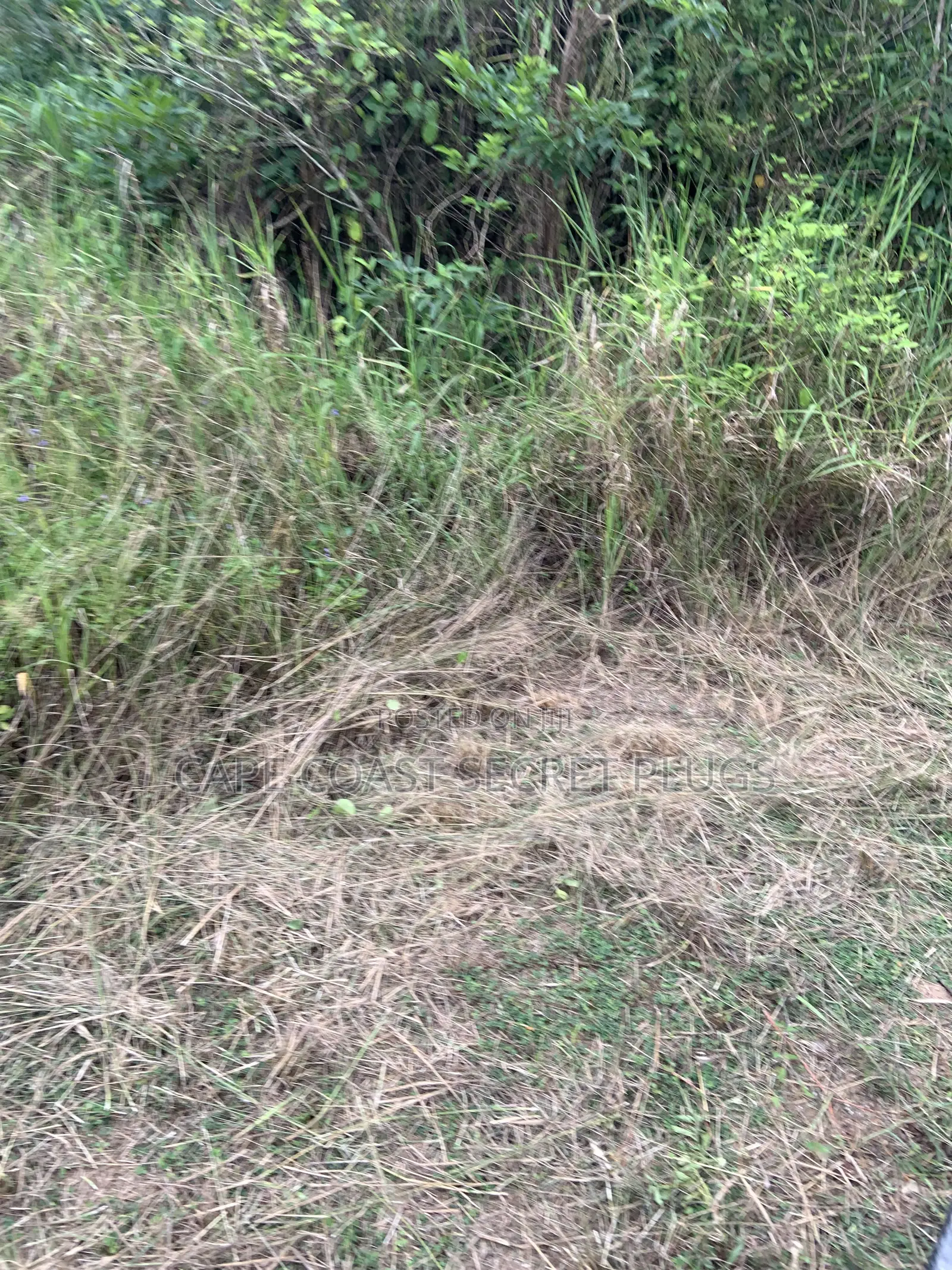 2 Plot of Land