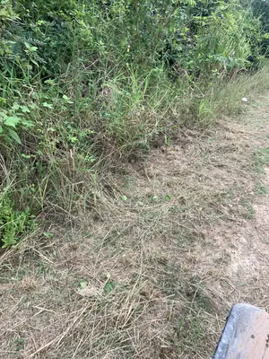 2 Plot of Land