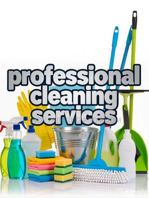 Fast, Efficient, and Professional Cleaning