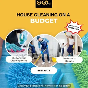 Seamless Cleaning Services for Busy Professionals