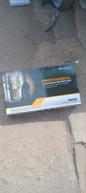 Professional Condenser Microphone