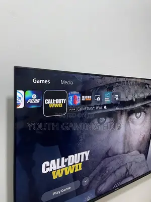 Call of Duty: Ww2 Game Account for Ps4