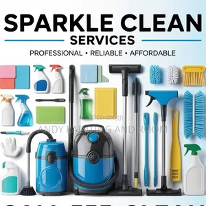 Spotless Results: The Professional Difference