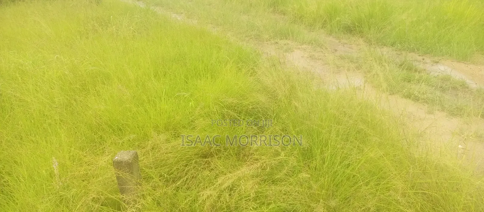 Well Serviced Land for Sale at Winneba
