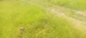 Well Serviced Land for Sale at Winneba