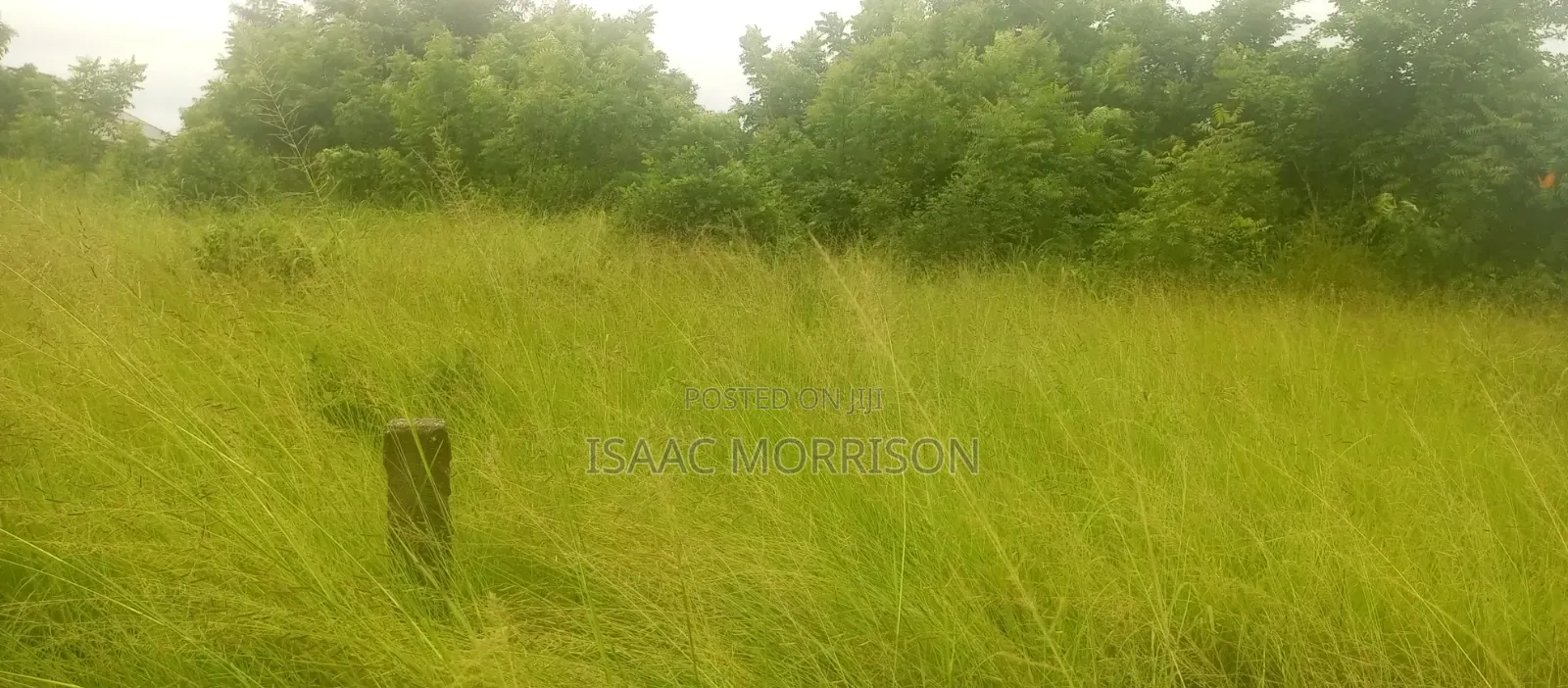 Well Serviced Land for Sale at Winneba