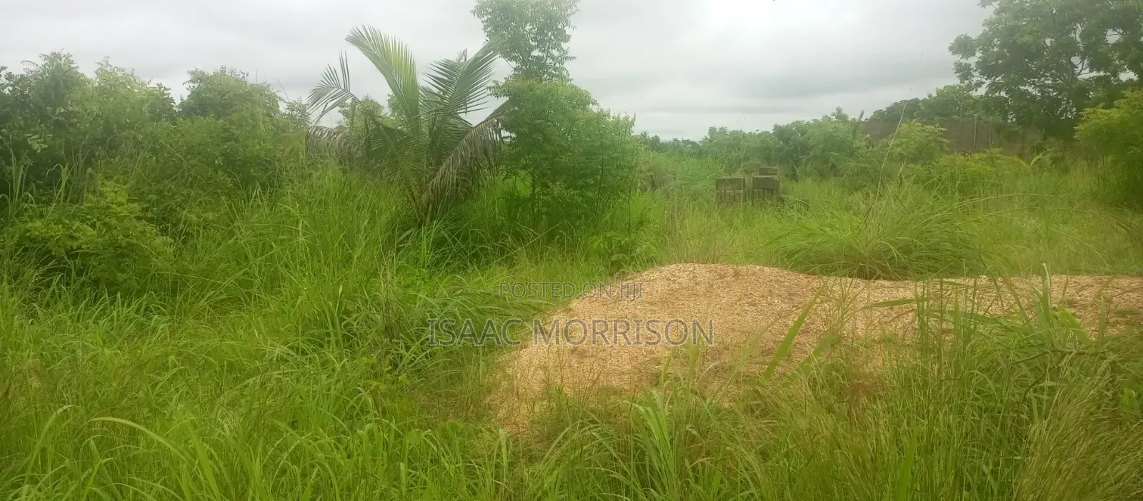 Well Serviced Land for Sale at Winneba