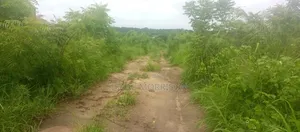 Well Serviced Land for Sale at Winneba