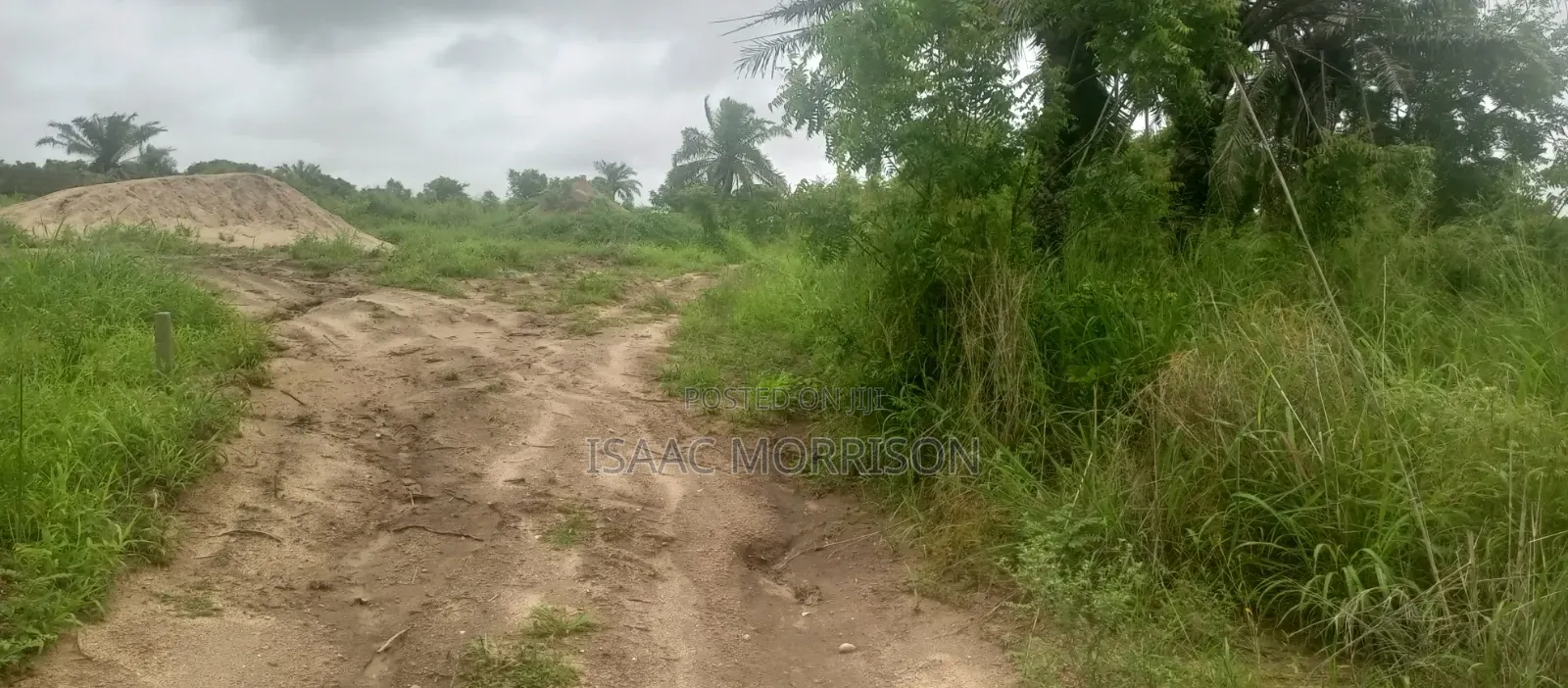 Well Serviced Land for Sale at Winneba