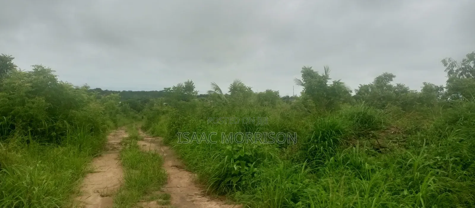 Well Serviced Land for Sale at Winneba