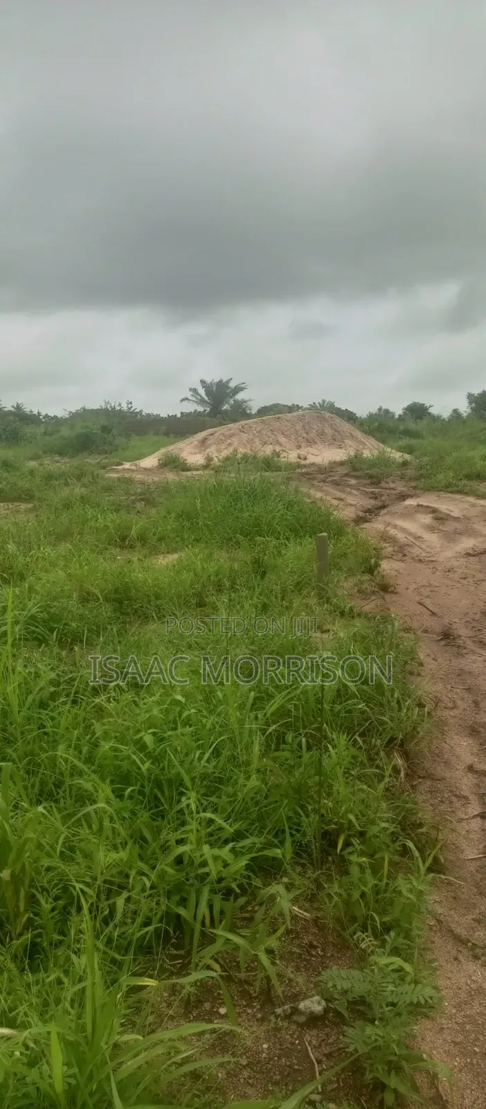 Well Serviced Land for Sale at Winneba