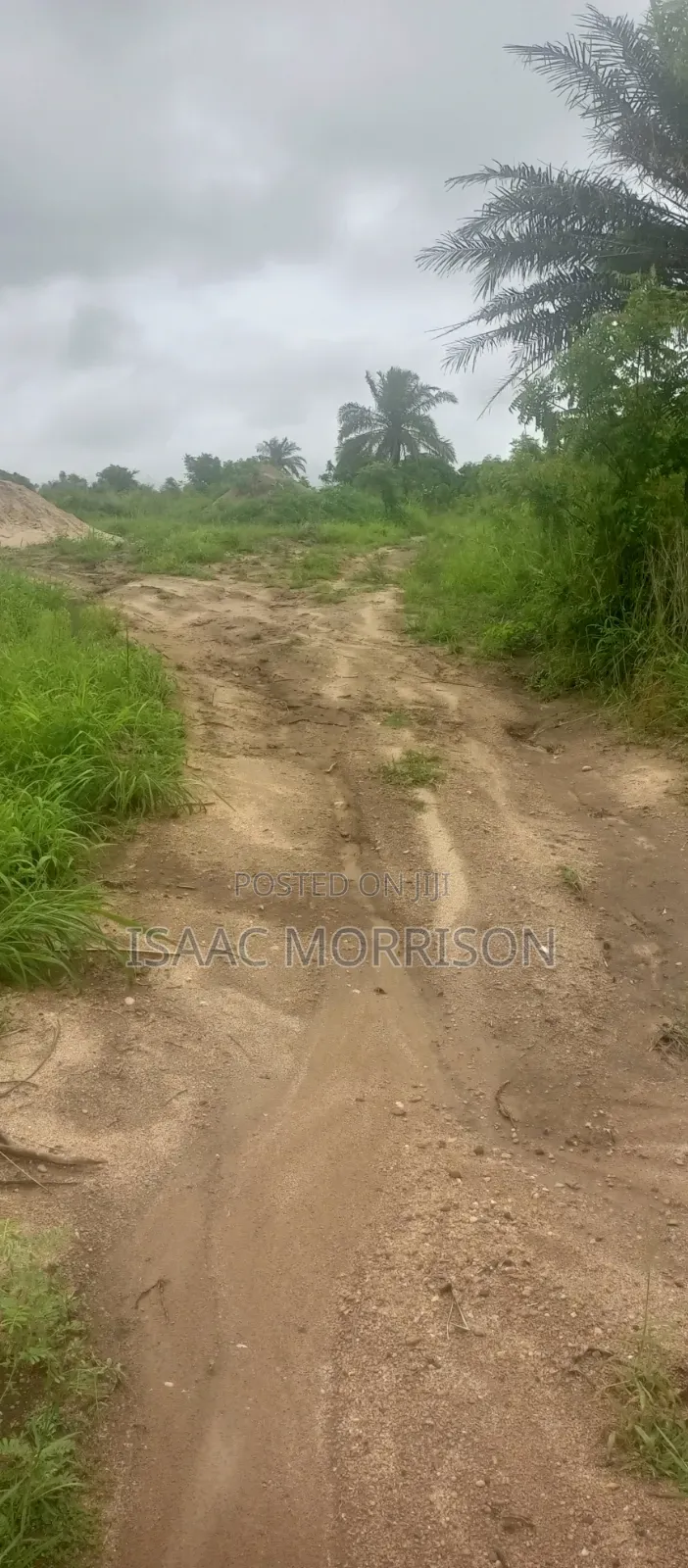 Well Serviced Land for Sale at Winneba