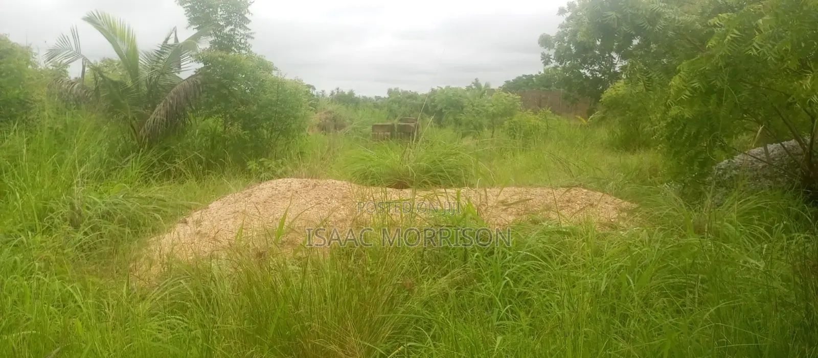 Well Serviced Land for Sale at Winneba