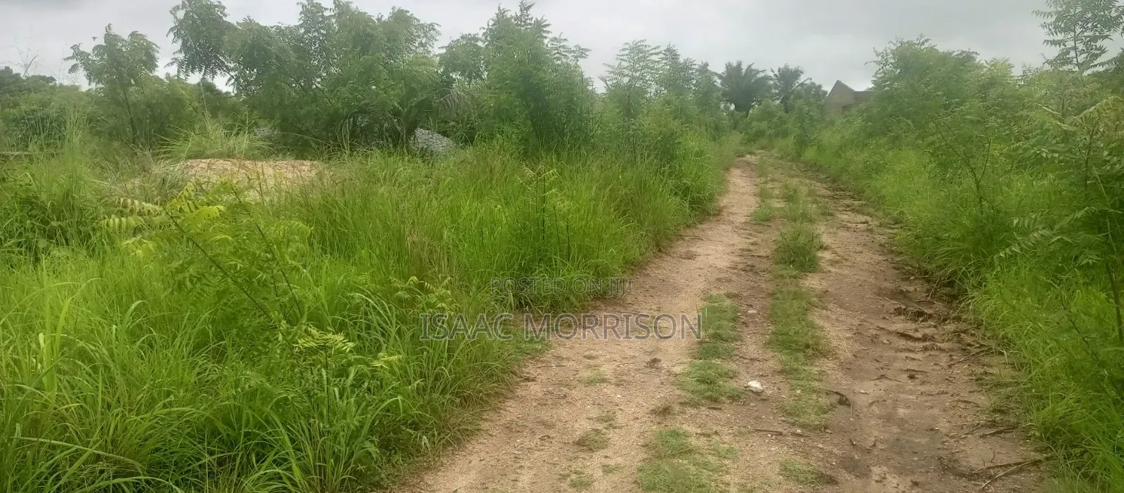 Well Serviced Land for Sale at Winneba