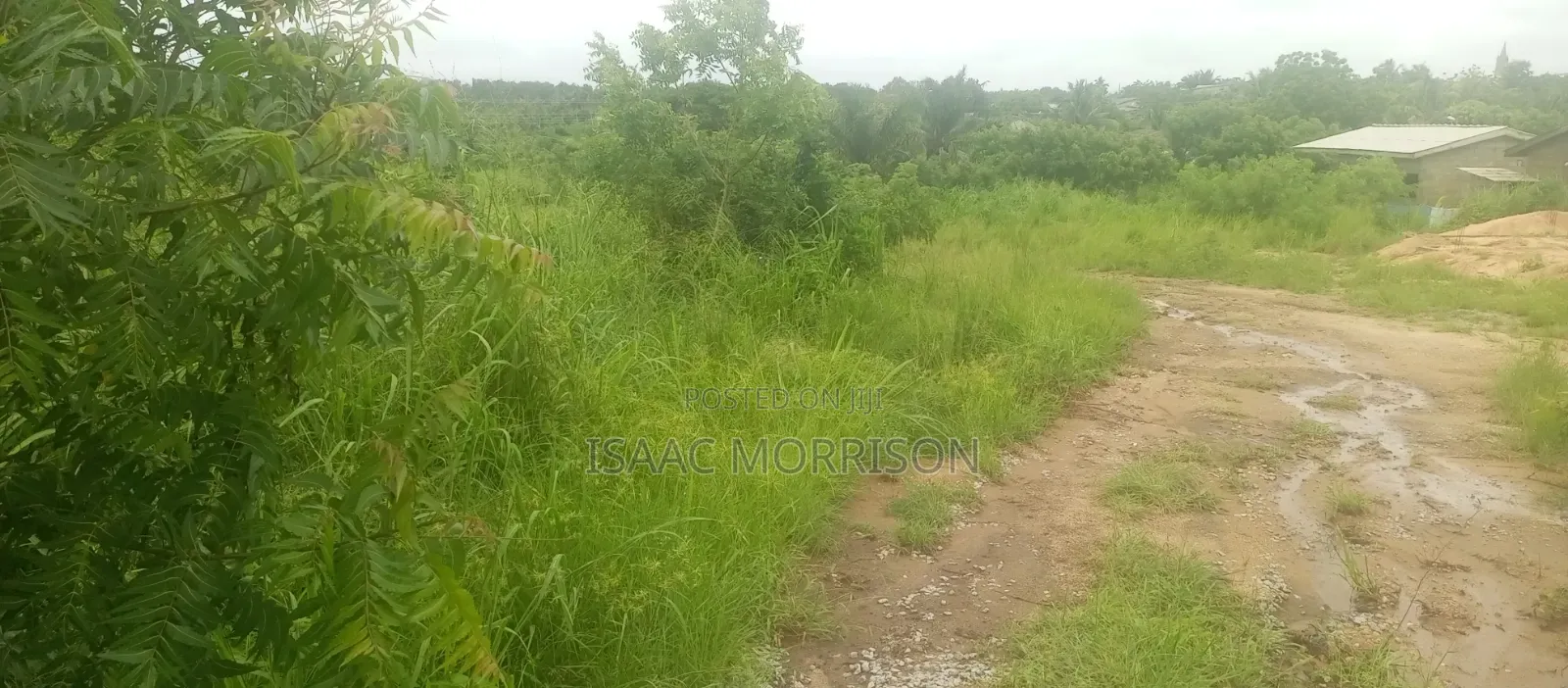 Well Serviced Land for Sale at Winneba