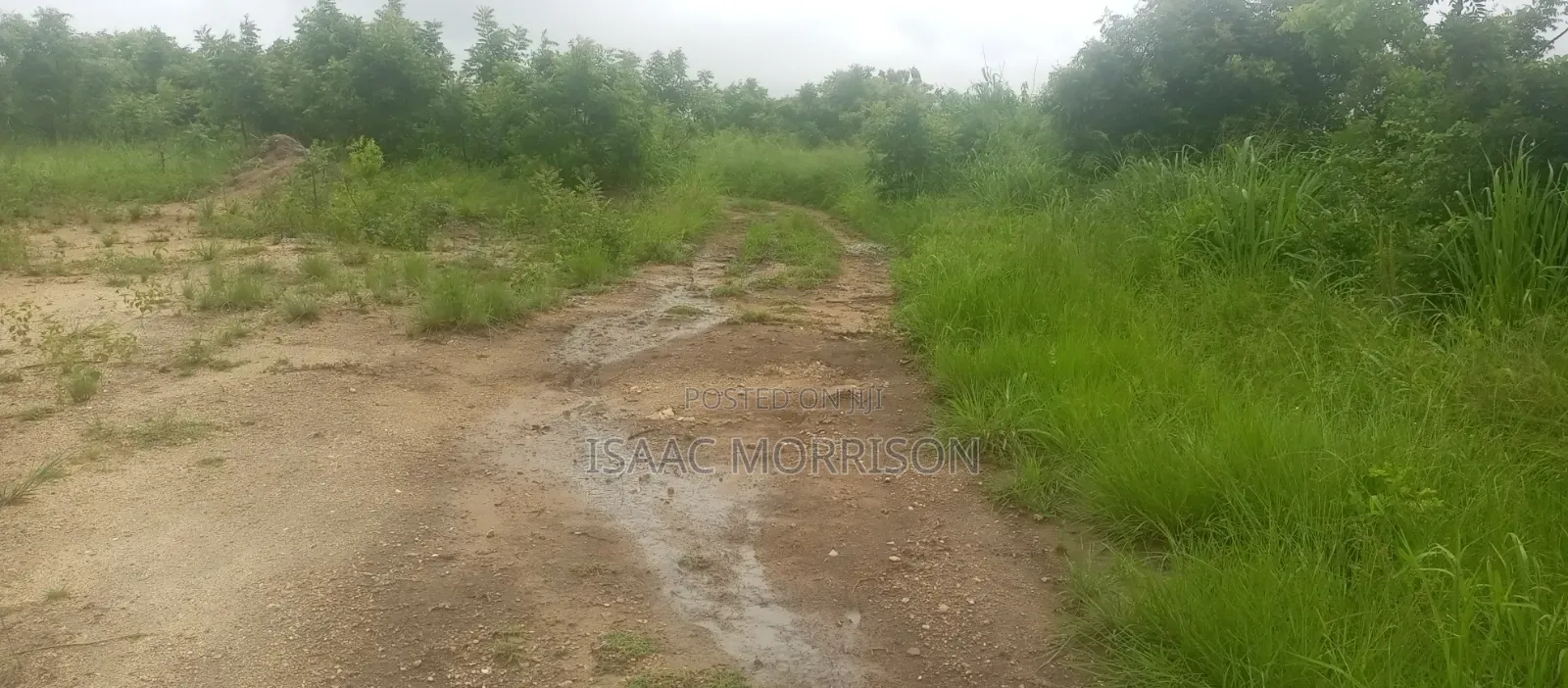 Well Serviced Land for Sale at Winneba