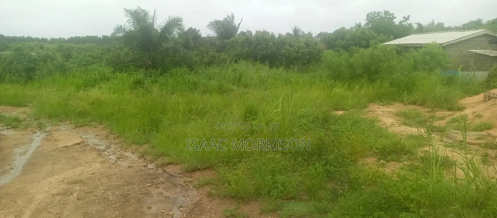 Well Serviced Land for Sale at Winneba