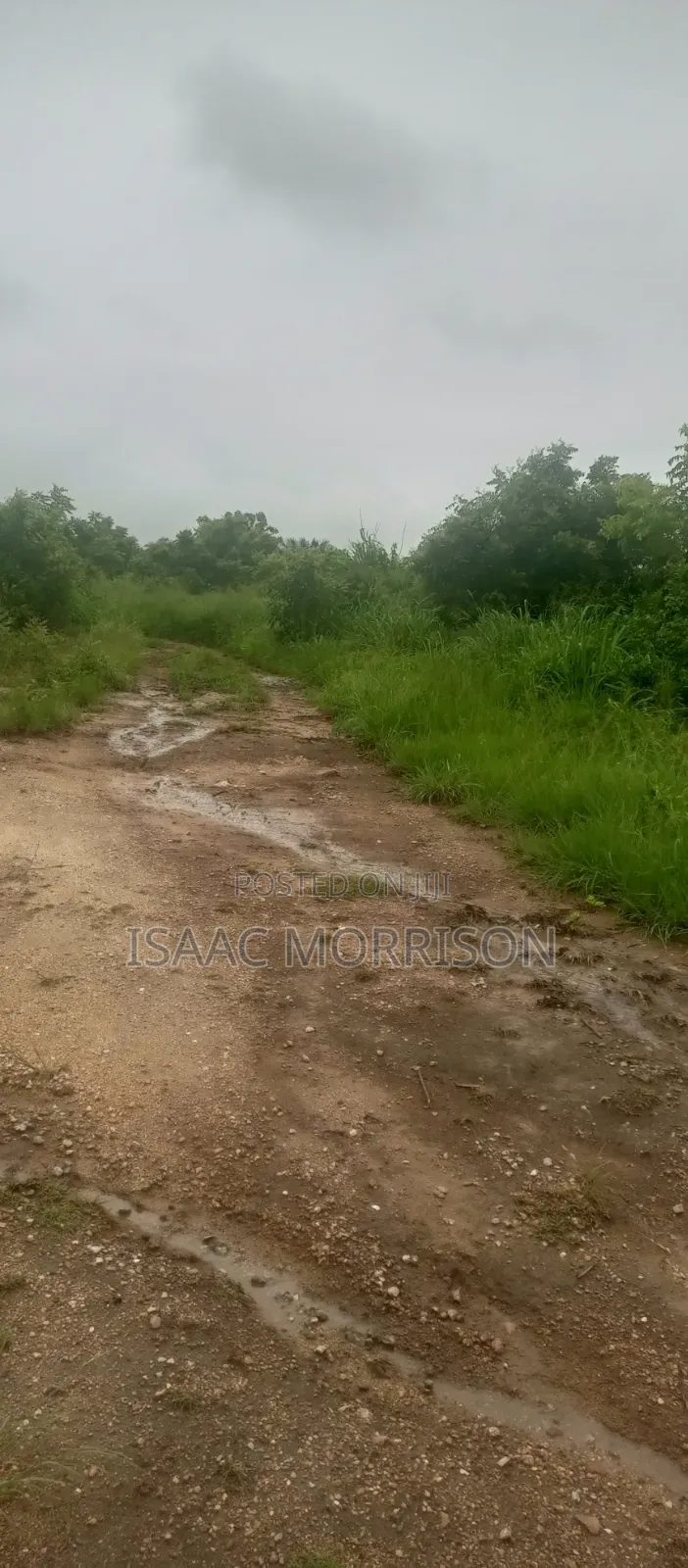 Well Serviced Land for Sale at Winneba