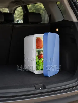 8l Mini Portable Car Refrigerator