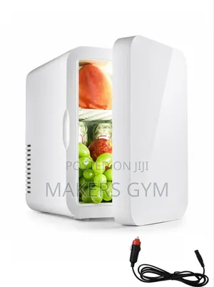 Car Fridge (The Cooler and Warmer)