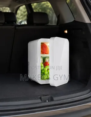 Car Fridge (The Cooler and Warmer)
