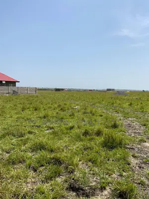 Appreciating Land in a Developing Community