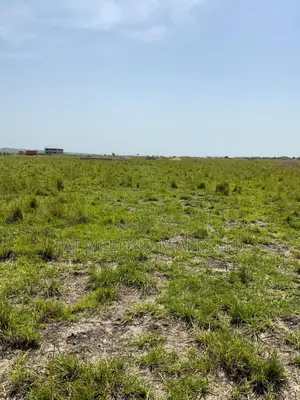 Appreciating Land in a Developing Community