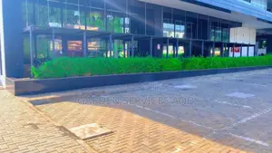 Shrub Bamboo for Workplace Deco and Fencing