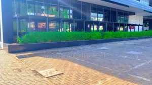 Shrub Bamboo for Workplace Deco and Fencing