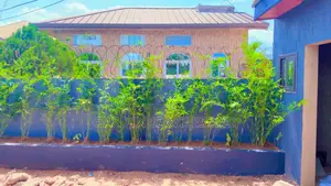 Shrub Bamboo for Workplace Deco and Fencing