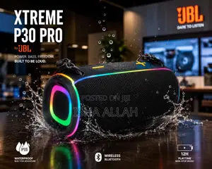 JBL Portable Speaker – Small Size, Bisound