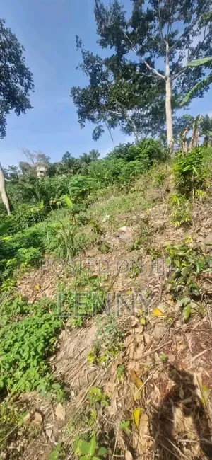 Registered Freehold 2 Plots