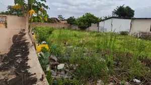 Plot of Land
