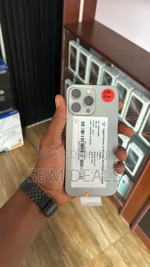 Apple iPhone 15 Pro Max 256 GB Silver