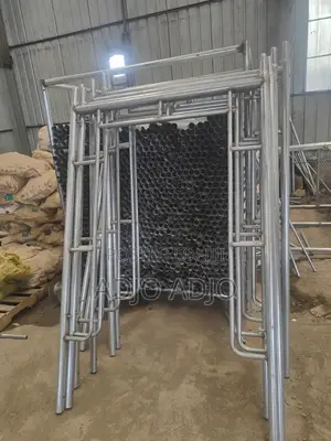 Scaffold/Scaffolding