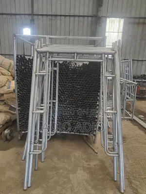 Scaffold/Scaffolding