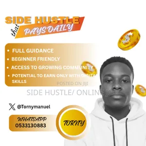 Side Hustle That Pays Daily – No Skills Required!”