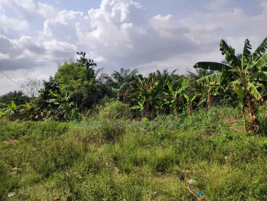 1000 Acres of Land at Dodowa Fiakonya Per Acre Is 800,000ghc