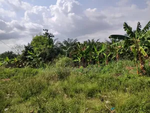 1000 Acres of Land at Dodowa Fiakonya Per Acre Is 800,000ghc